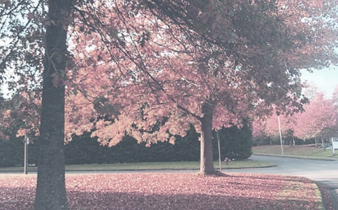 �＾�����a(b��)ˮ����������͕�(hu��)������