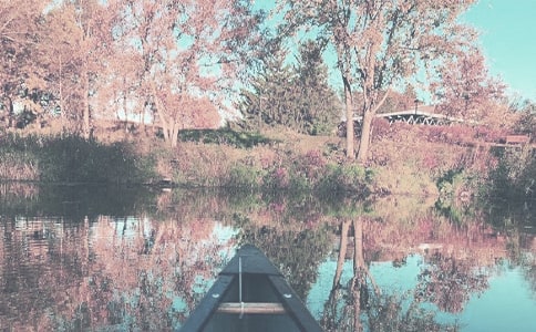 �＾ף���Z(y��)���ž��x