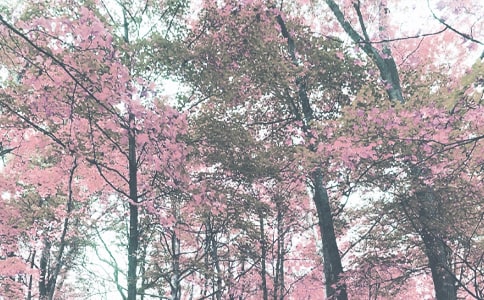 С���＾����(w��)Ӌ(j��)����ͨ��20ƪ��