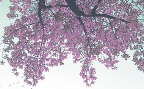 �＾У�L(zh��ng)��(gu��)�����vԒ(hu��)