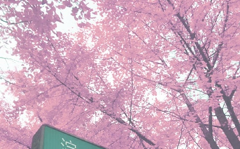 關(guān)于秋季釣大鯽魚(yú)的技巧