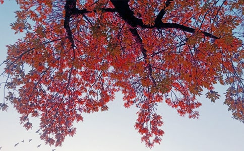 Ԓ�f��������