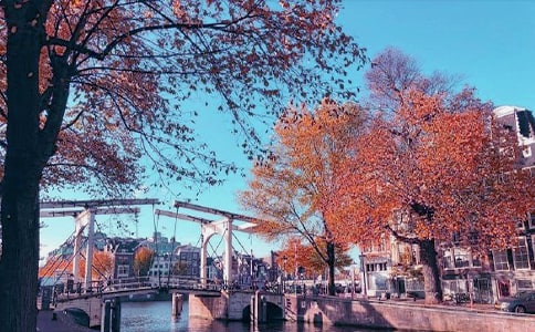 ����˽�Z15ƪ��ͨ�á�