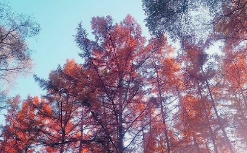 ����˼�w����