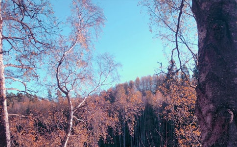 ����ԭ�ļ��p��14ƪ����Ʒ��