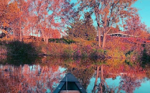 描寫秋日的詩句