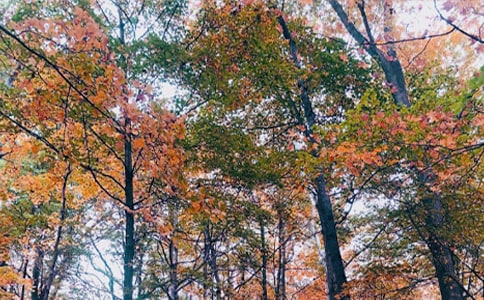 �P(gu��n)�����յ��S�Pɢ��