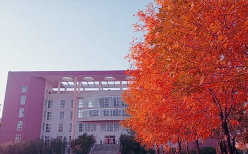 ����˽�Z���ă�(y��u)�㣨9ƪ��