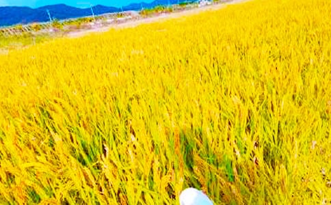 ���յ����ļ���[15ƪ]