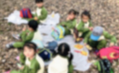 秋游活動(dòng)方案