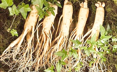 �˅����Ĺ�Ч�c��������Щ