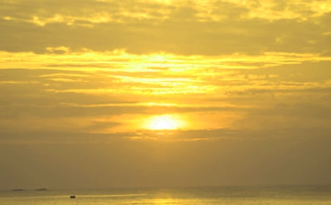 �����ã��P���ճ�������