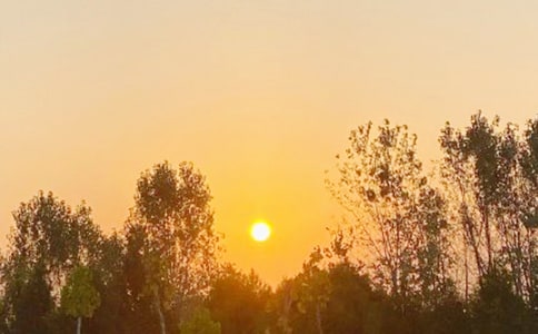 ���ճ����ġ���ȫ15ƪ��