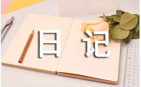 【精品】寫日記的作文300字四篇