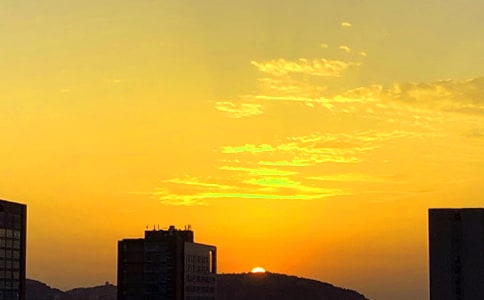 �茑����ĺ��~�þ�