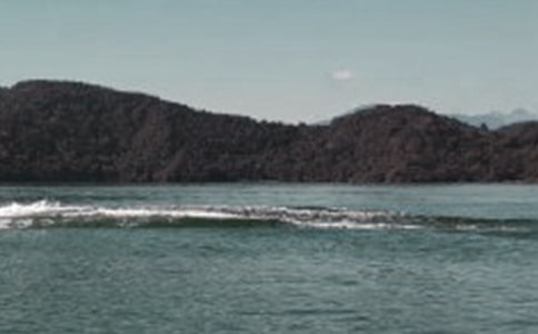 《日月潭》教學實錄共8篇