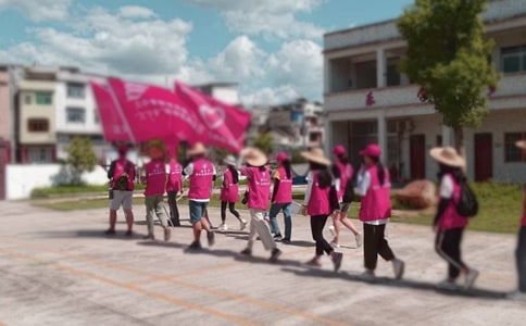 大學(xué)生三下鄉(xiāng)調(diào)查(精華)