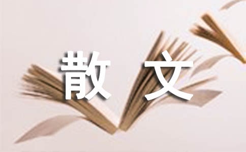 關(guān)于夜深人靜的隨筆散文(精選11篇)