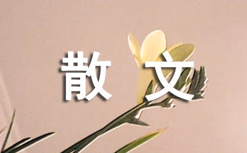 張曉風散文摘抄