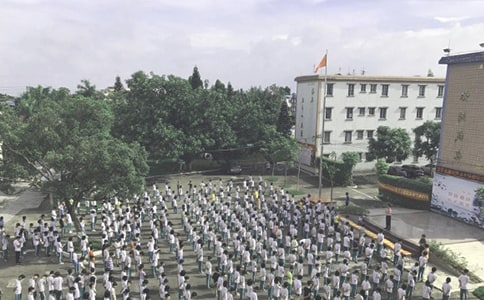 ����ɢ�W(xu��)��Y�����~(�W(xu��)��)