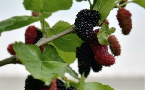 ժɣ�����ĺϼ�(15ƪ)