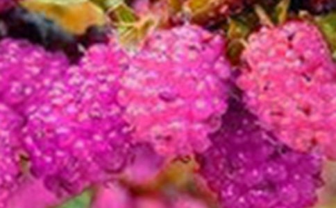 ժɣ������11ƪ����(sh��)�ã�