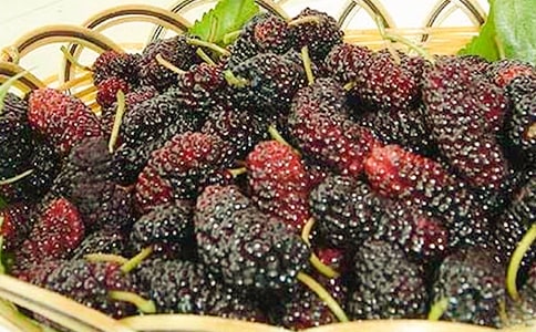 ժɣ������