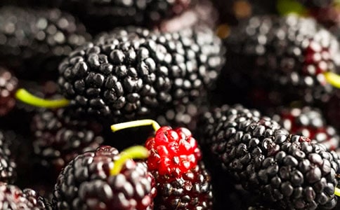 ��ͨ�á�ժɣ������15ƪ