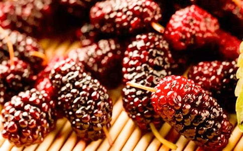 (實(shí)用)摘桑葚作文15篇