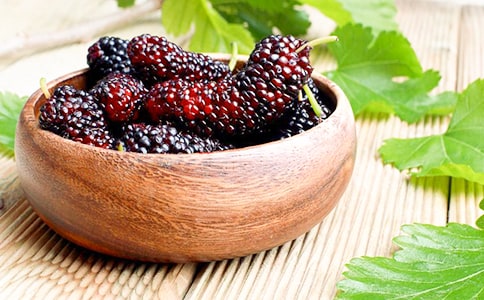 摘桑葚作文優(yōu)選10篇