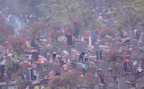 關于掃墓的作文【常用14篇】