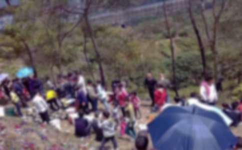 ��Ĺ������[���\13ƪ]