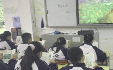 ���n�f(shu��)Ԓ�zӑ[ͨ��15ƪ]