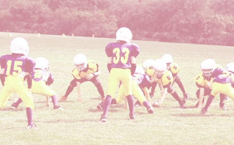 �����������������