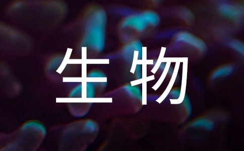 (必備)初中生物教案15篇