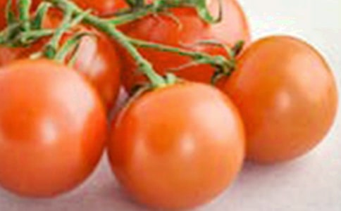 ʥŮ������15ƪ�����x��