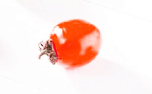 ʥŮ������15ƪ������