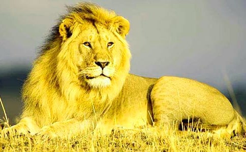 �{��ͯԒ���İ�ƪ