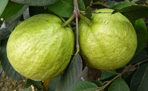 ��ʯ��ķ���