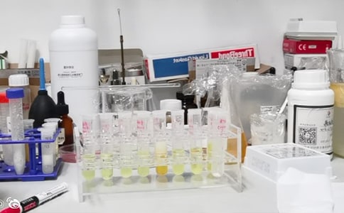 Ӣ�ؠ���(sh��)�(y��n)�ҹPԇ�}