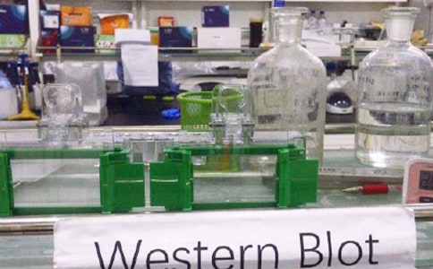 ��(sh��)�(y��n)�ҹ������Y(ji��)