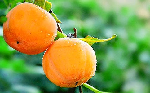 �Ґ��������������