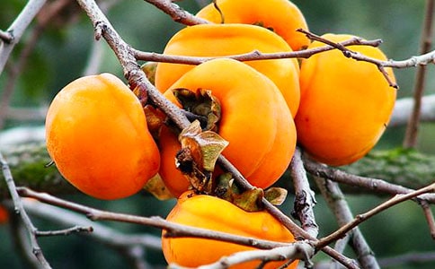 ��������Ӄ�(y��u)������300��