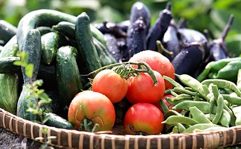 吃什么蔬菜可以有效減肥