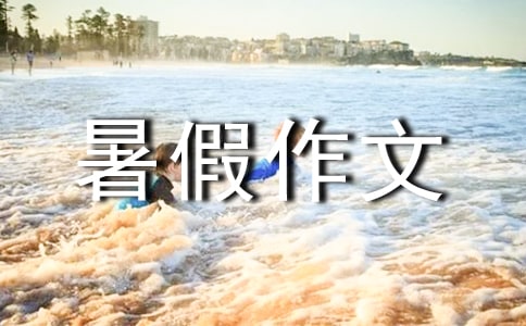 ��ٵ����ġ����������