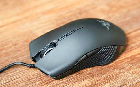 可愛(ài)的“鼠標(biāo)”作文