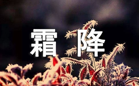 霜降節(jié)氣祝福語15篇