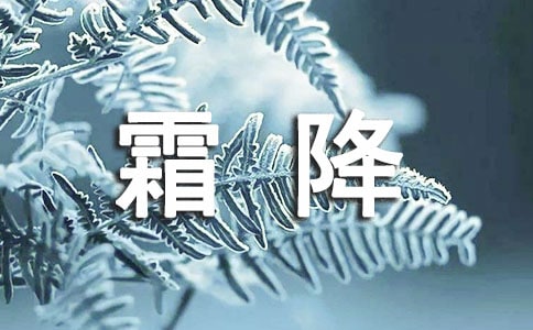 霜降祝福語(yǔ)簡(jiǎn)短(精選400句)