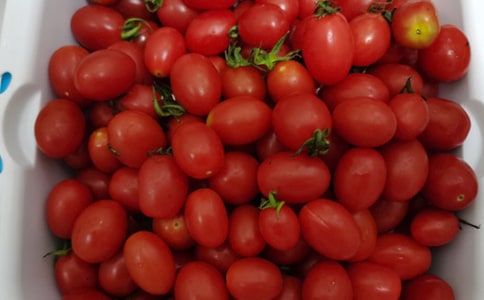 最可愛好玩的水果謎語大全及答案