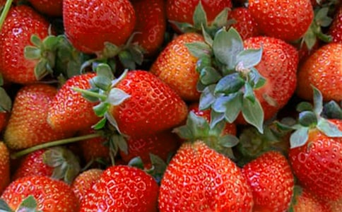 水果謎語大全及答案